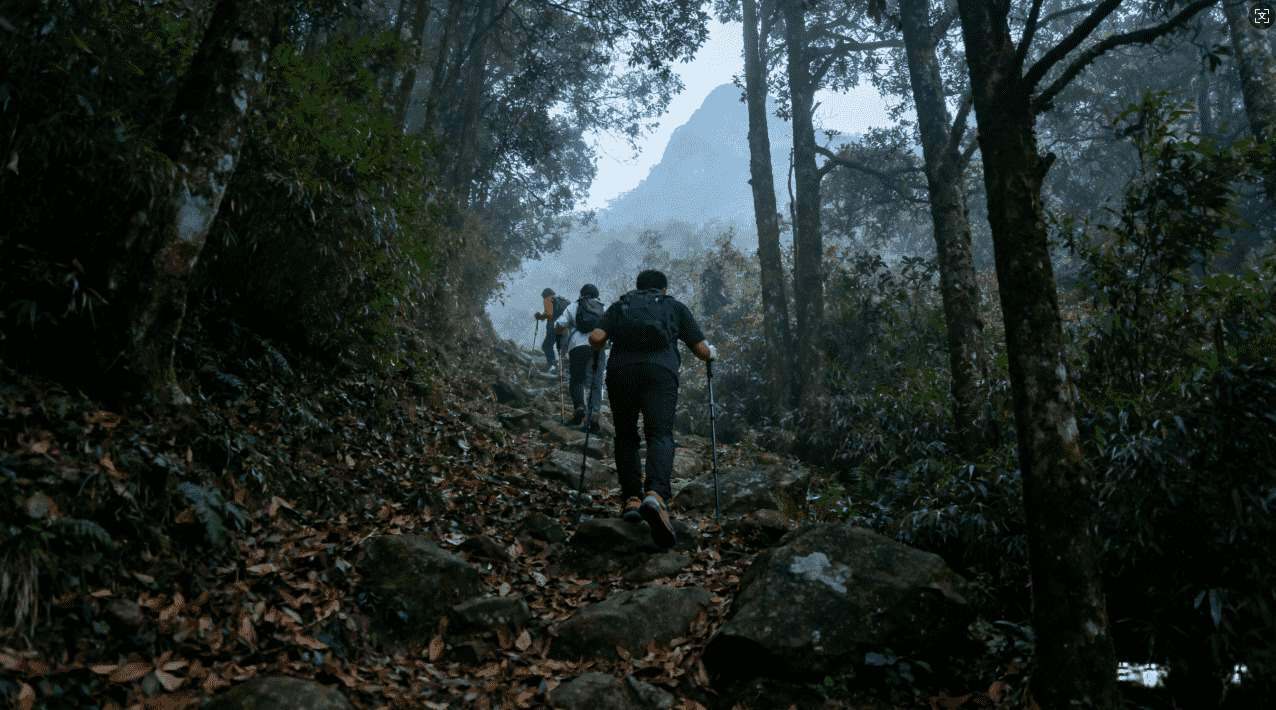暴喵加速器快速上手方法介绍